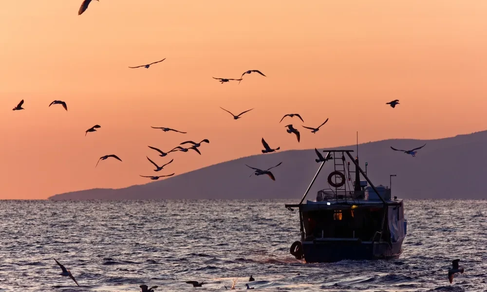 Fishing vassel sun down