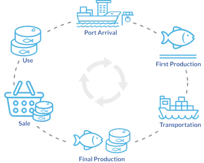 Value chain